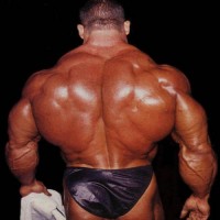 How to Build a Bigger Back
