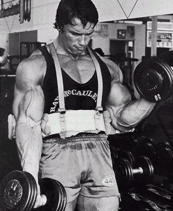 arnold schwarzenegger dumbbell curls How to Build Bigger Biceps