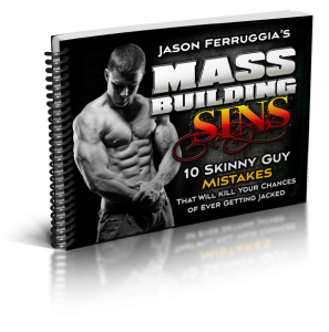 MassBuildingSInsCover3D2 297x300 New Free eBook and How I Make Money Online