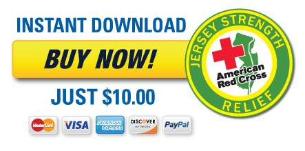 JerseyStrengthReliefART PRICE Jersey Strength  Disaster Relief Sale