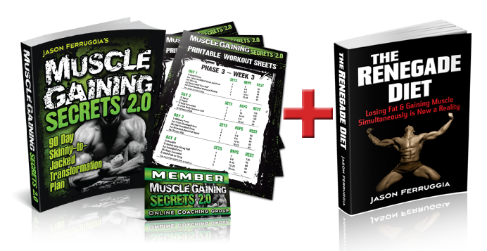 Fat Burning Protein Shakes : The Vince Delmonte Review   The Man Behind The No Nonsense Muscle Building Program