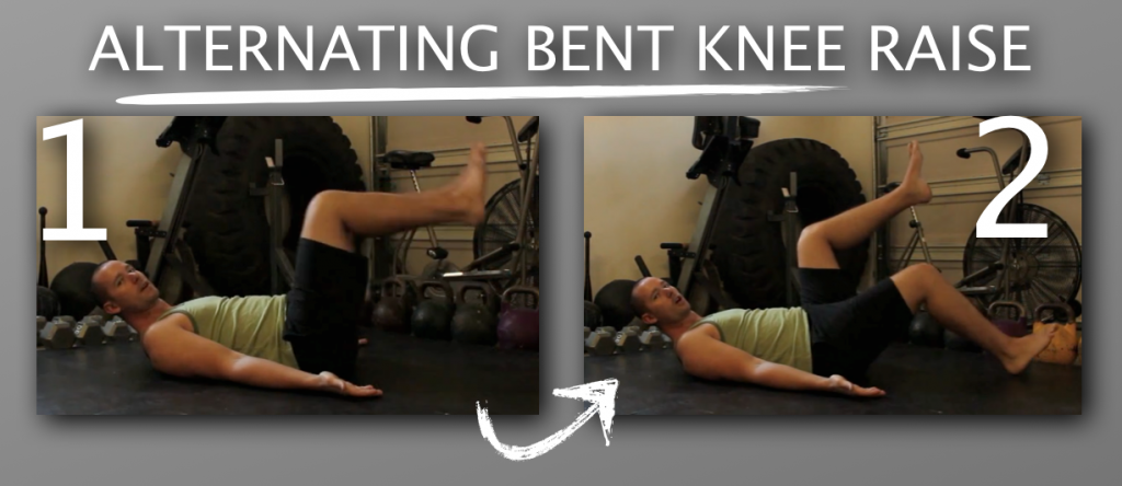 Ex1 Alternating Bent Knee Raise